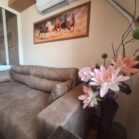 Lily Aparts Appartement *